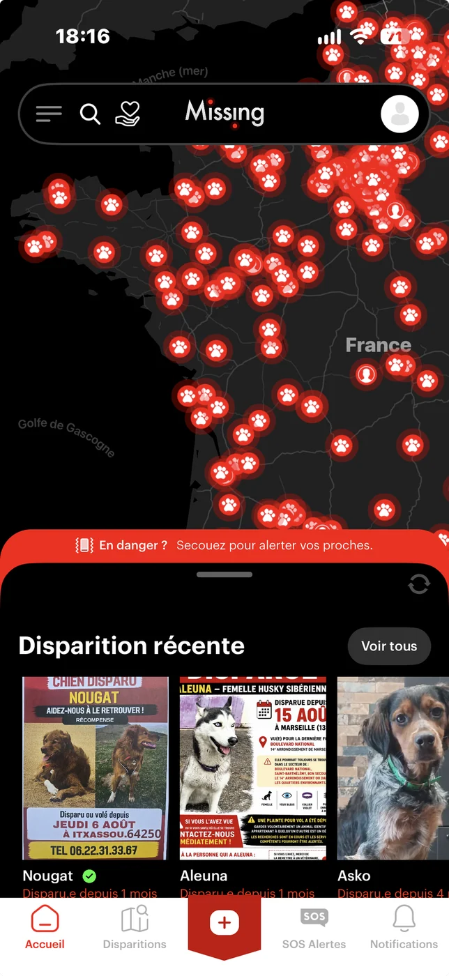 L'écran d'accueil dans l'application Missing